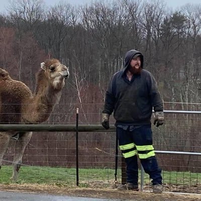 Trevorwilder91's profile picture. 