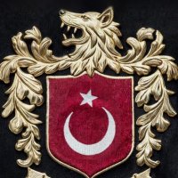 Cemal KURT (@cemal_kurtt) 's Twitter Profile