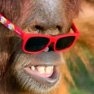 kagowanduta's profile picture. Simple and understanding