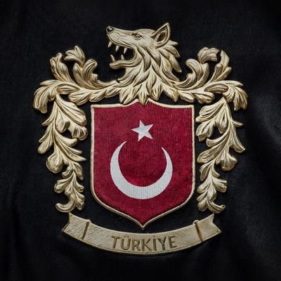 OzkardesVolkan's profile picture. Gerçekleri tarih yazar, tarihi de Galatasaray 💛❤️