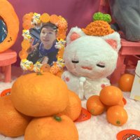 🐱애옹이과 다람쥐🐿 10cm Dolls🧸 (@bebesope_doll) 's Twitter Profile Photo 🐱애옹이과 다람쥐🐿 10cm Dolls🧸 (@bebesope_doll) 's Twitter Profile Photo