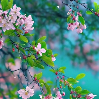 Khanaj73's profile picture. Retd civil servant .