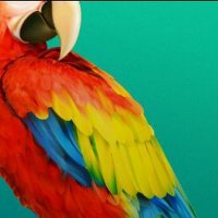 fadila hamisu99 (@fhamisu9964665) 's Twitter Profile Photo fadila hamisu99 (@fhamisu9964665) 's Twitter Profile Photo