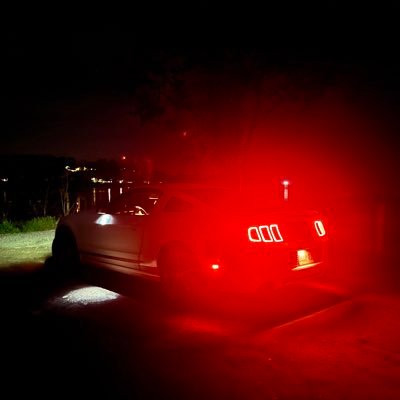 notsosaral's profile picture. Don't care, didn't ask.