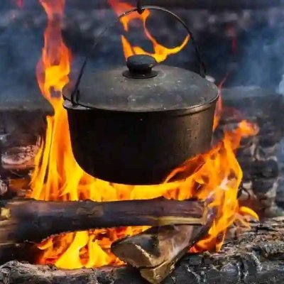 Michael11629686's profile picture. 