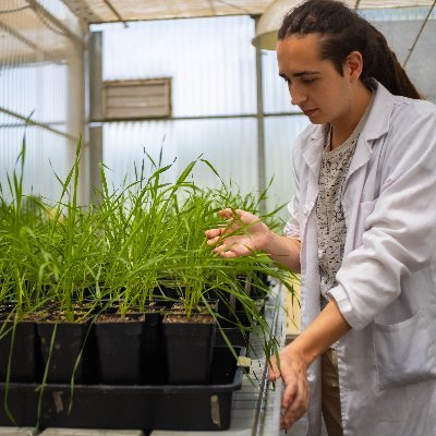 PhD candidate. Phytopatology and Biological Control Group. Agribiotechnology Research Institute (CIALE).