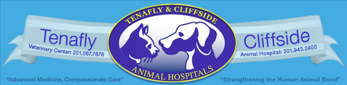 Tenafly Cliffside Animal Hospitals in NJ - Strengthening The Human Animal Bond M-F: 8AM-7PM; S: 9AM-7PM - Call 201-567-7878.