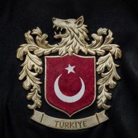 Abdullah catli (@abdullahca59562) 's Twitter Profile