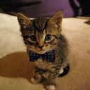 Tim Dale - @tim_derp - Twitter