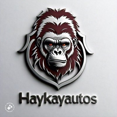 BURNA BOY 4L🦍 CAR 🚘 IS LIABILITY BUT NECESSITY TO HUMAN LIFE .IG:HAYKAYAUTOS 🧭ABUJA ☎️09162265970 RC:7357776