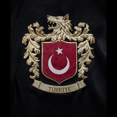 ysfyl_'s profile picture. sofware developer