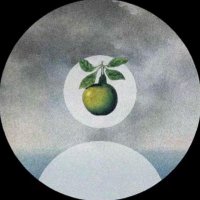 𝗄𝗂𝗋𝗂 (@dunnernebel) 's Twitter Profile