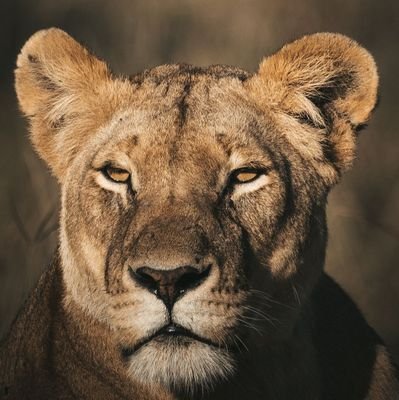 mqueen_254's profile picture. 