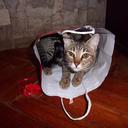 Elliot Blanco - @ElliotBlanco - Twitter