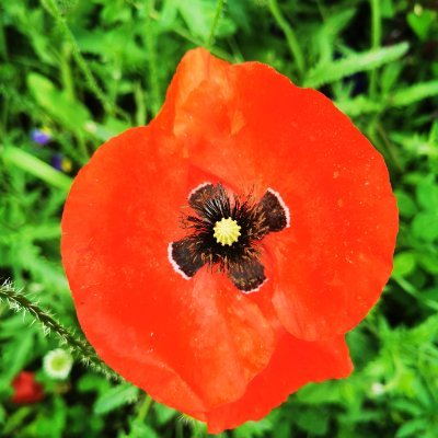 richard_jlucas's profile picture. join the dots towards truth and justice 💚