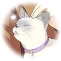 なん (@naruch33) 's Twitter Profile Photo なん (@naruch33) 's Twitter Profile Photo