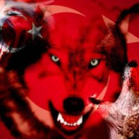 Selin Koc - Hukukçu - 🇹🇷 (@selinko13484713) Twitter profile photo