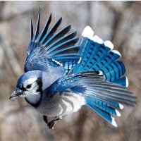 Kh (@kh_zadj) 's Twitter Profile Photo