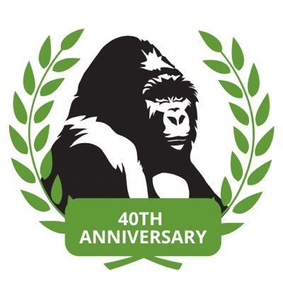 berggorillas's profile picture. Since 1984, the Berggorilla & Regenwald Direkthilfe has been dedicated to the conservation of gorillas, especially the mountain gorillas, and their habitats.
