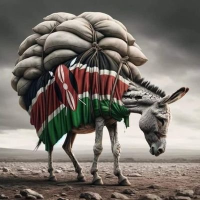 jmudira's profile picture. Silent listener to all conversations
