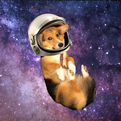 Its_Marcimoo's profile picture. International man* of mystery - Space Cowboy - Historian Extraordinar - 💫@hawksidk - 🦋: itsmarc