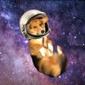 Its_Marcimoo's profile picture. International man* of mystery - Space Cowboy - Historian Extraordinar - 💫@hawksidk - 🦋: itsmarc