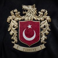 S.K 🇹🇷 (@skslyman) 's Twitter Profile