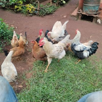 Anthropologist , youth activists and a Farmer.