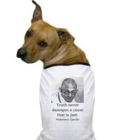 Peace. (@jichodadog) 's Twitter Profile Photo Peace. (@jichodadog) 's Twitter Profile Photo