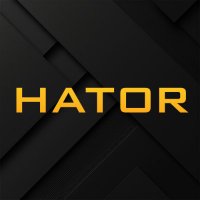 HATOR (@hator_gaming) 's Twitter Profile