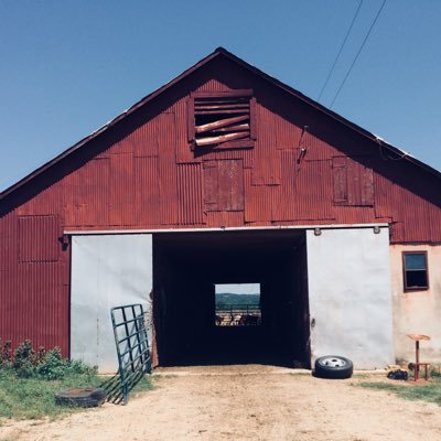 Tejas_4_Vida's profile picture. 