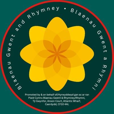 plaidBG's profile picture. Promoted by & on behalf of / Hyrwyddwyd gan ac ar ran: Plaid Cymru Blaenau Gwent & Rhymney, Tŷ Gwynfor, Anson Court, Atlantic Wharf, Caerdydd, CF10 4AL