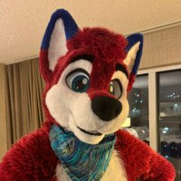 🐾Kojac🐾 (@kojachusky) 's Twitter Profile