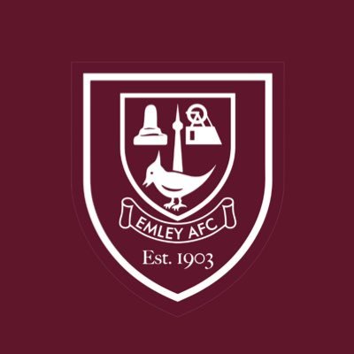 Members of the @PitchingIn_ @NorthernPremLge | Back us in the NPL! #UTP #WeAreEmley