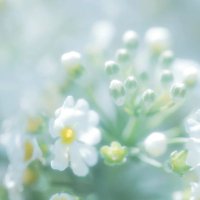 さかむけ (@sapd46rulj40432) 's Twitter Profile