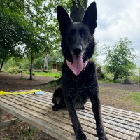 RPD Jet (@rpdjet) 's Twitter Profile