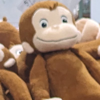 joge111222514's profile picture. 毒吐き用