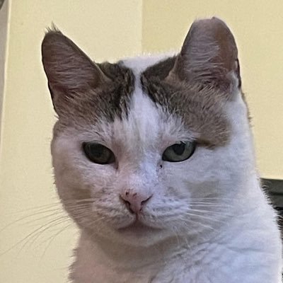 I write bugs and then I fix them. Nostr: https://t.co/PSjWaiaimU