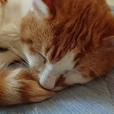 FHsDIHxZho32970's profile picture. 