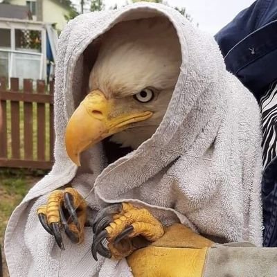 babasachinanand's profile picture. Husband. Father. Developer.  Open source enthusiast. Tweets on everything from Technology to Politics & Religion.