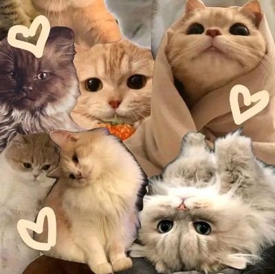 tyongtyngff's profile picture. begin🏄🏻‍♀️
if you don't like it just leave it:D