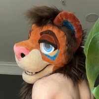 Damien 🦁 ➡️ AC (@damienthelion_) 's Twitter Profile Photo Damien 🦁 ➡️ AC (@damienthelion_) 's Twitter Profile Photo