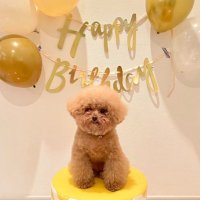 ムギ (@mugi20190326) Twitter profile photo