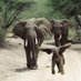 LynnTaz Patriot 🏴 🇬🇧🚜🐘🐕 (@oldpunk76) Twitter profile photo LynnTaz Patriot 🏴 🇬🇧🚜🐘🐕 (@oldpunk76) Twitter profile photo