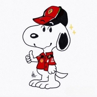 bushakaaay's profile picture. forza ferrari🏎️⭐️