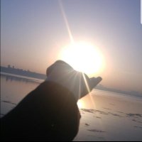 عائشة صالحة (@aysessgenc) 's Twitter Profile Photo عائشة صالحة (@aysessgenc) 's Twitter Profile Photo