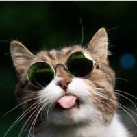 job china (@job197736742459) 's Twitter Profile Photo job china (@job197736742459) 's Twitter Profile Photo