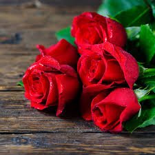 ACTOR 💯
love, peace, wisdom and understanding ❤️
this is my only account 👍