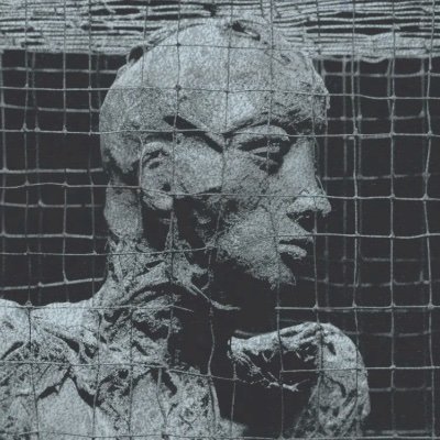 TobiasKonowitz's profile picture. physics/maths