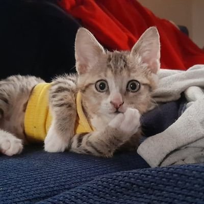 wangithic's profile picture. I do my thing and you do yours. I am not in this world to live up to your expectations, and you are not in this world to live up to mine. You are you and I am I